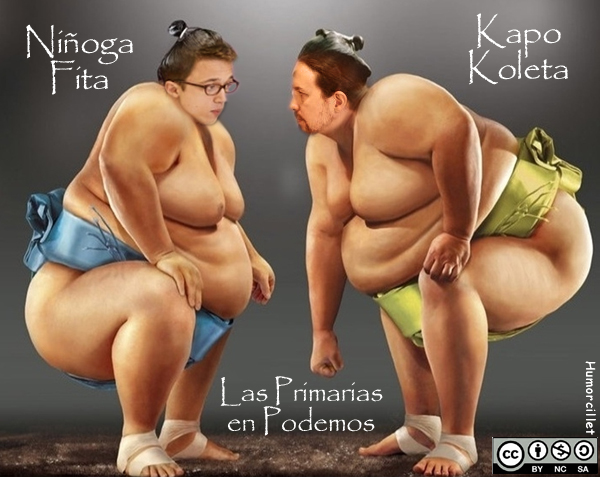 sumo-copia