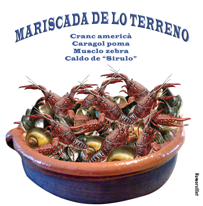 MARISCADA 2 bona
