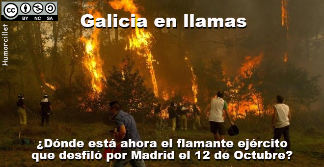 galicia llamas