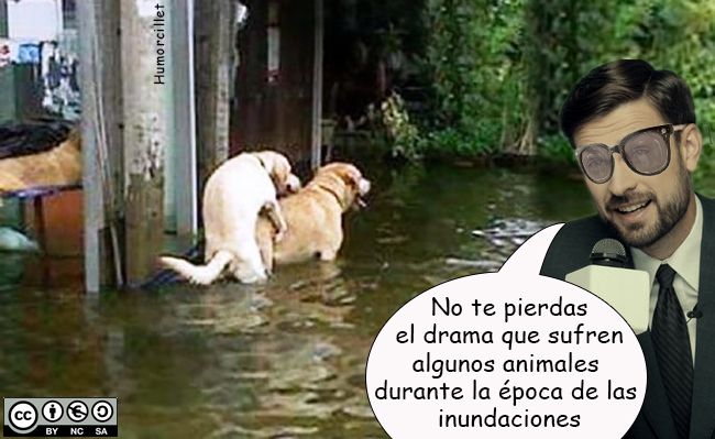 inundaciones