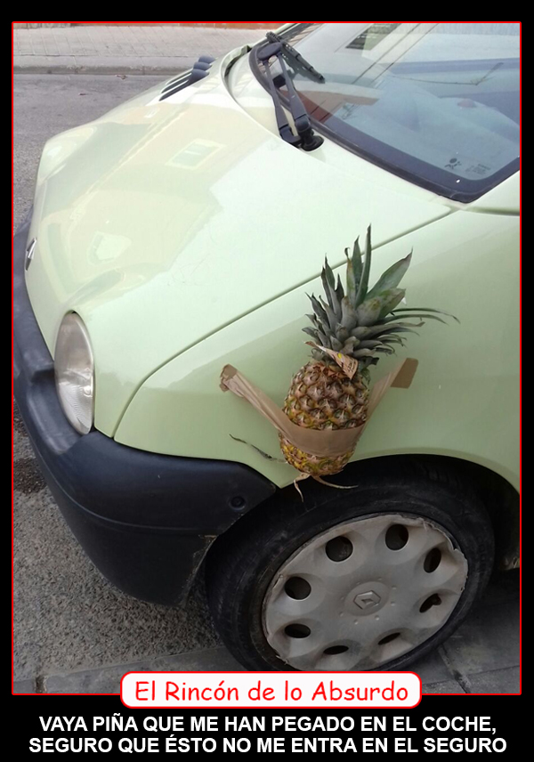 PIÑA EN EL COCHE