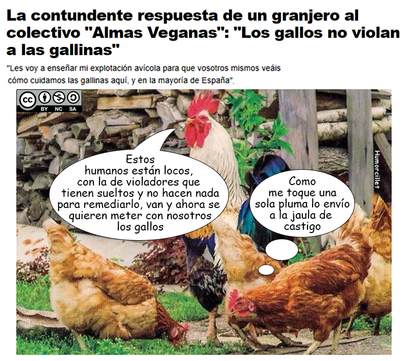 gallinas violadas