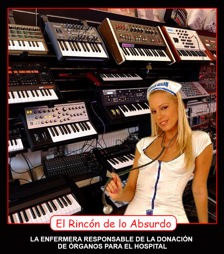 RINCON ABSURDO ÓRGANOS