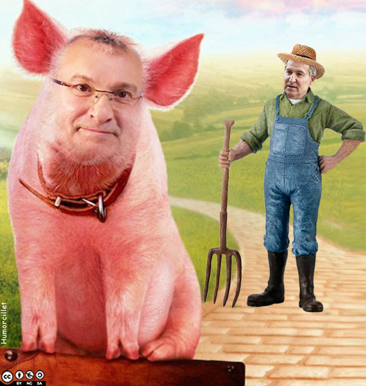 Puede ser una imagen de 1 persona