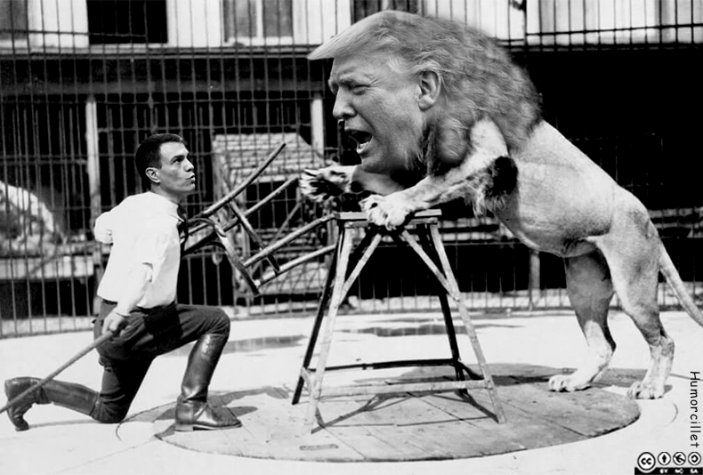 Puede ser una imagen de texto